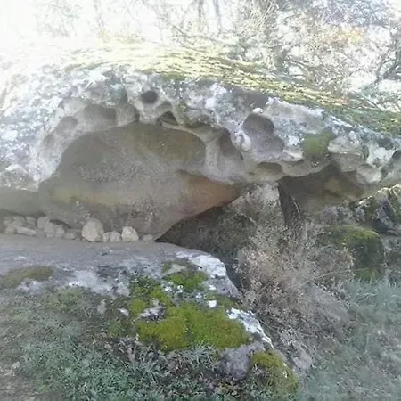Domek letniskowy Chalet 