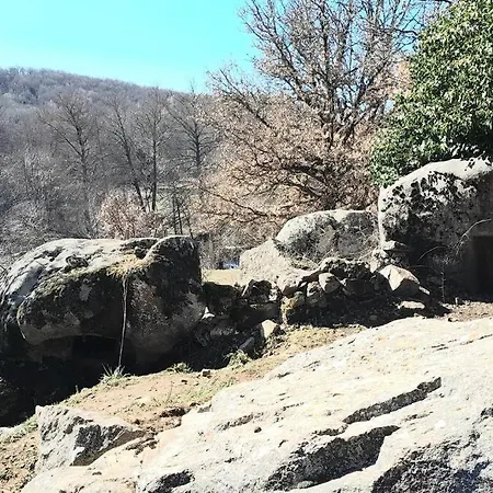 Chalet Domus De Janas Immerso Nella Natura Fonni