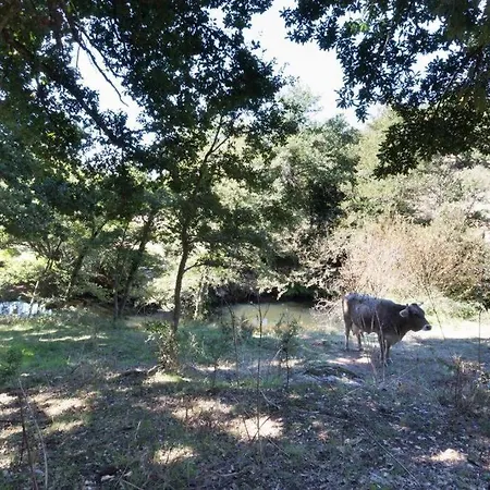 Chalet Domus De Janas Immerso Nella Natura Fonni